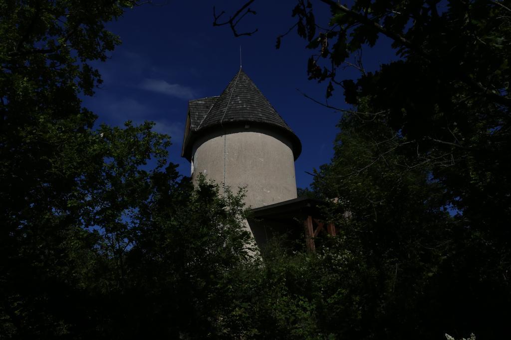 Moulin De Rouze Villa Castelnaud-de-Gratecambe Room photo